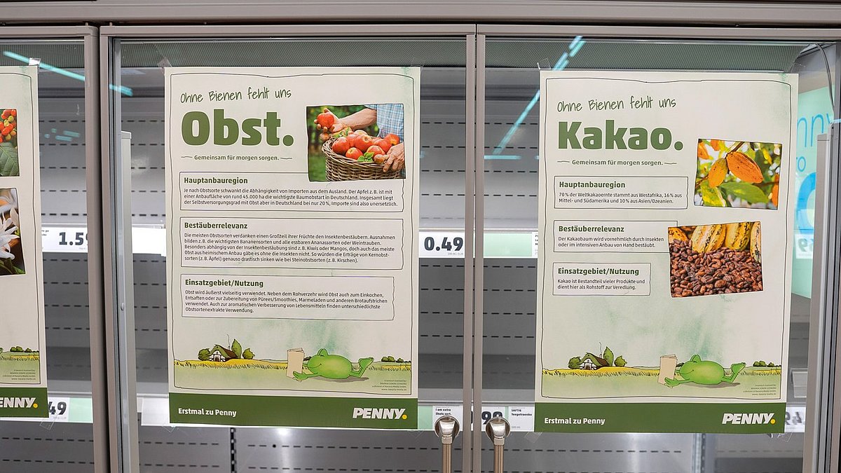 Die Regale eines Penny Regals sind leergeräumt. 