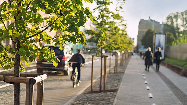 Man sieht Bäume an einer Straße in der Stadt.