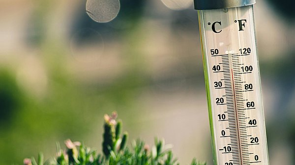 Ein Thermometer im Grünen zeigt über 40 Grad