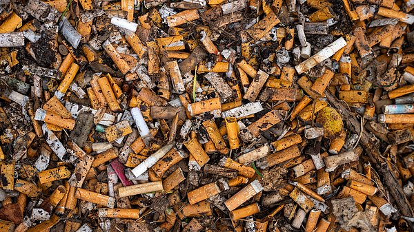 Gesammelte Zigarettenstummel