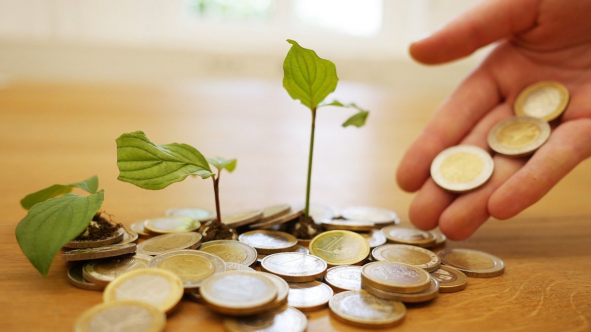Hand lässt Ein- und Zwei-Euro-Münzen auf eine Tisch gleiten. Auf diesem liegen bereits eine Reihe Münzen, aus denen Sprösslinge sprießen.  