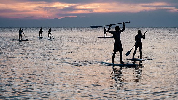 Mehrere Menschen gleiten auf Stand-Up-Paddle-Boards über ein ruhiges Gewässer und genießen gemeinsam die Bewegung auf dem Wasser.