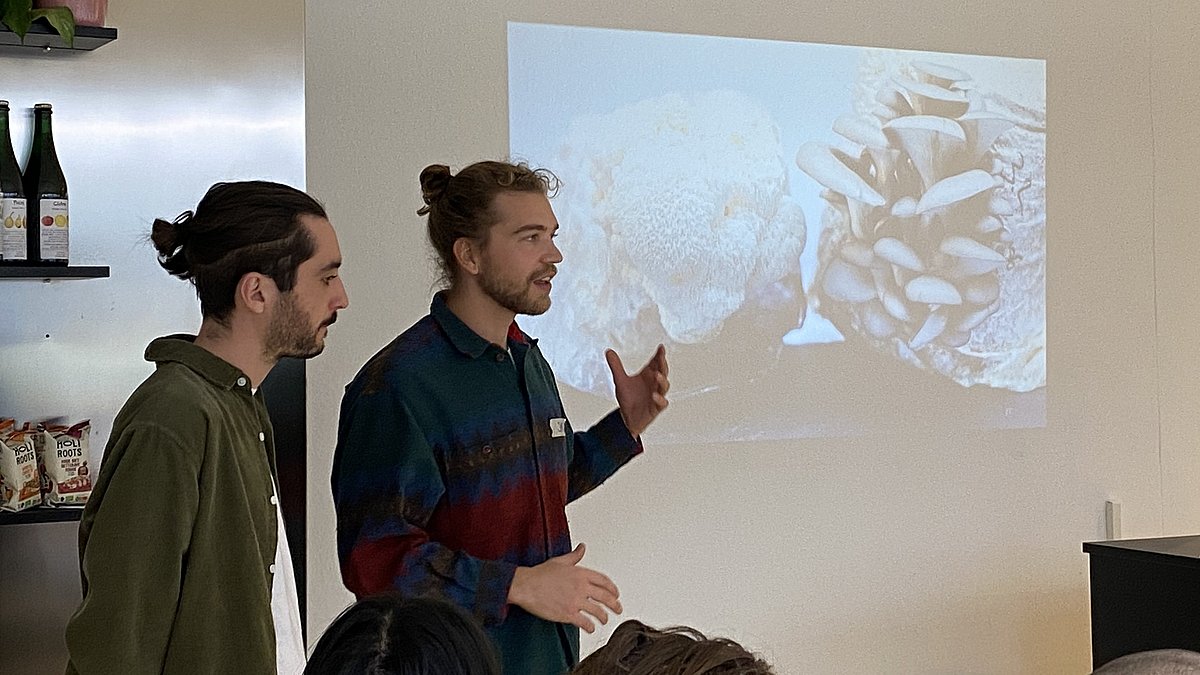 Die Agrarwissenschaftler Jay und Fede vor verschiedenen, an die Wand projezierten Pilzen