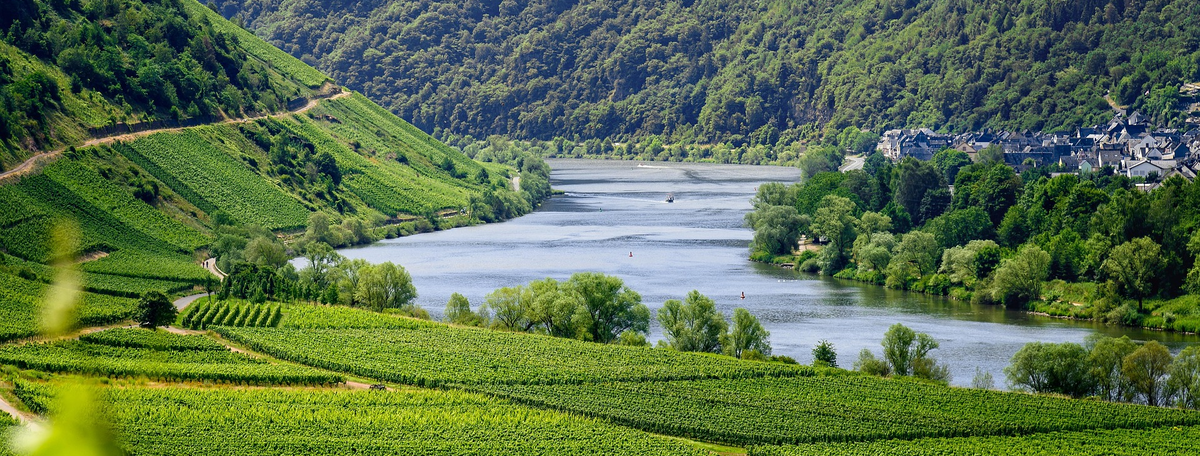 Fluss fließt durch eine Landschaft