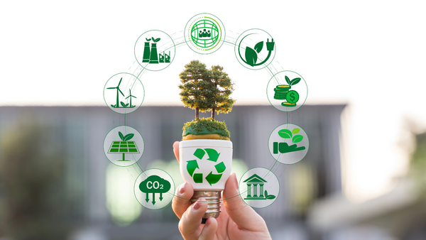 Hand hält eine Glühbirne mit Recycling-Symbol, aus der ein kleiner Baum wächst; umgeben von Symbolen für erneuerbare Energien, CO₂-Reduktion und nachhaltige Wirtschaft.