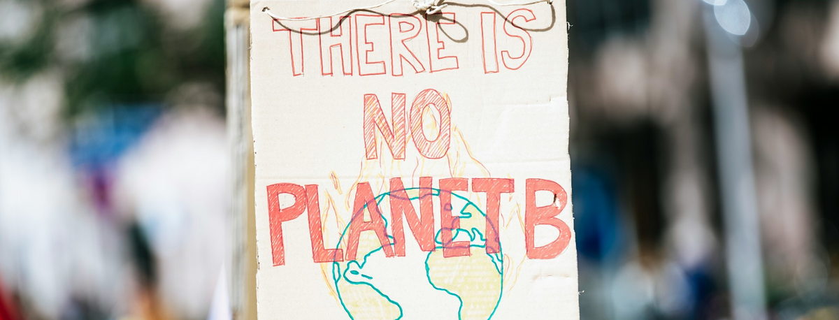 Plakat wird auf einer Demonstration hochgehalten mit der Aufschrift "There is no Planet B"
