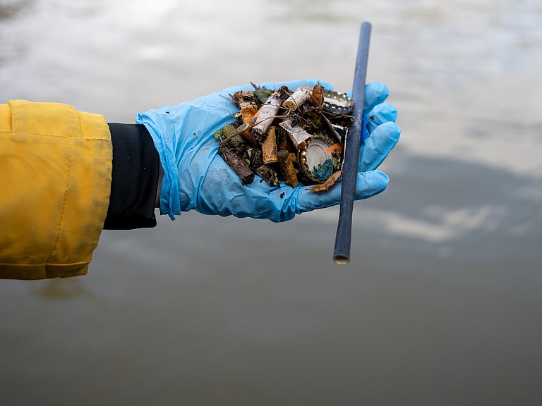 Hand mit Zigarettenstummeln bei einer Aufräumaktion