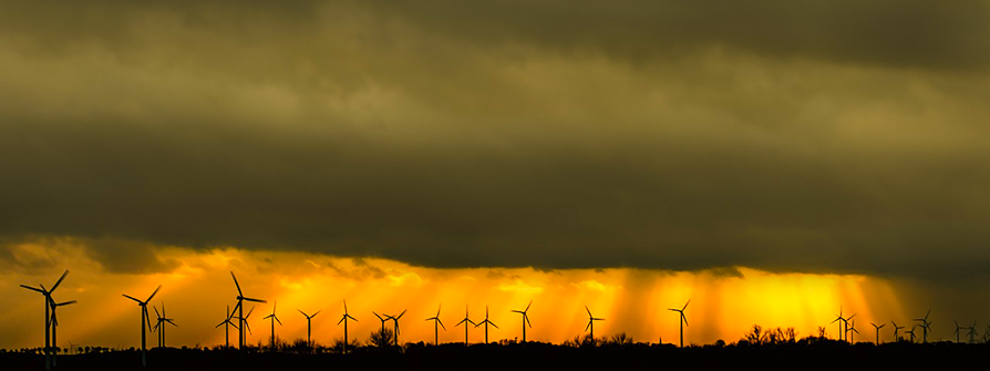 Das CO2-freie Unternehmen