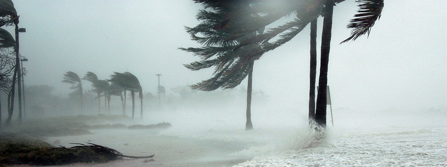 Feministische Perspektiven auf die globale Klimakrise