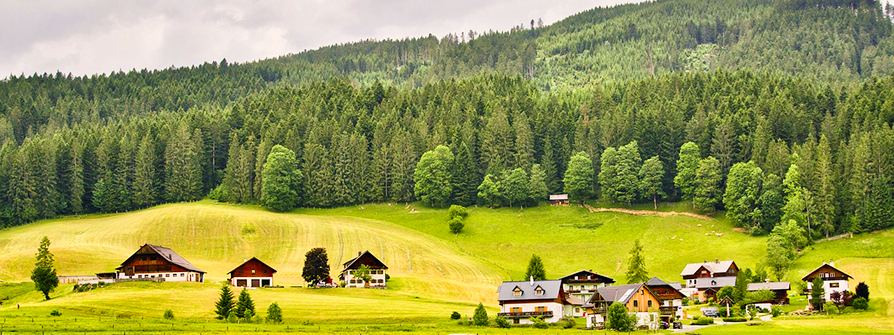 Fragebogen zu Rural Voices 2030