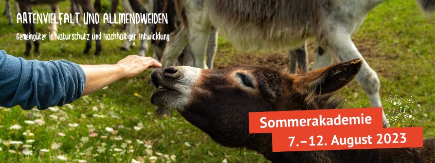 Sommerakademie im Biosphärengebiet Schwarzwald , BUNDjugend Baden-Württemberg