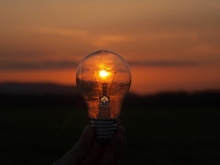 263light