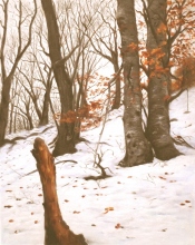 81landscape21