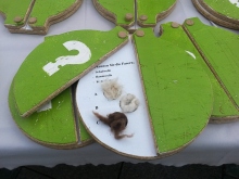 Rohstoffe für Textilien zum Anfassen. Stuttgarter Fashion Fairday