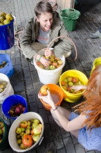 Warten bringt nichts 2014