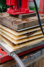 Warten bringt nichts 2014