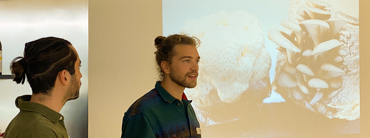 Workshop: Pilze und ihre Rolle im Ökosystem