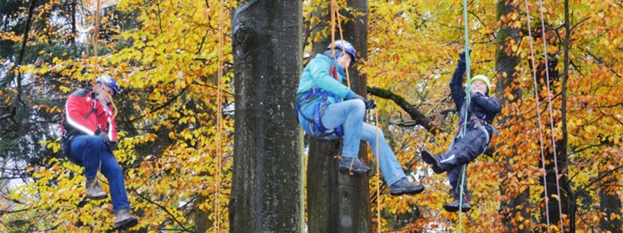 Neue Zugänge in der Waldpädagogik